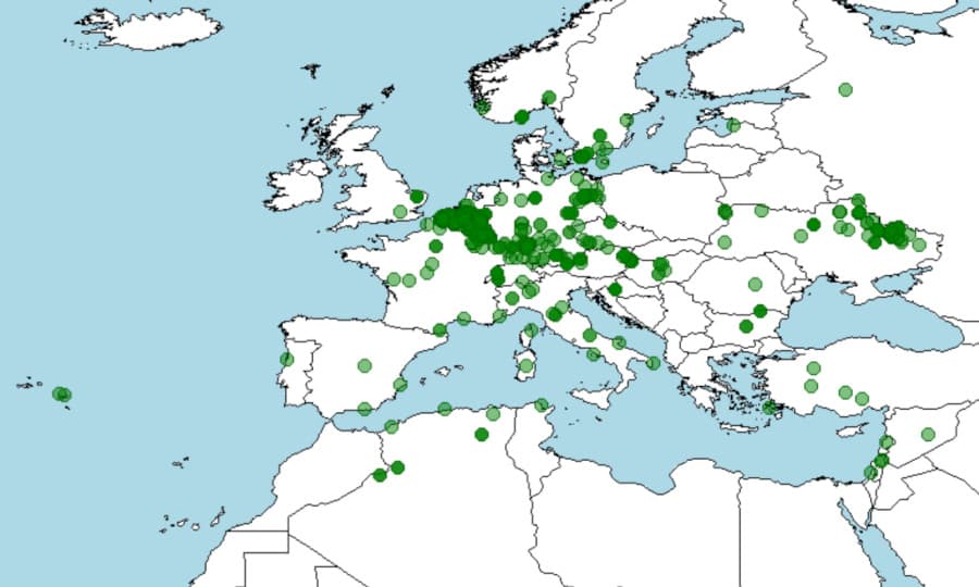Distribución, donde vive, la rana verde europea, Pelophylax lessonae
