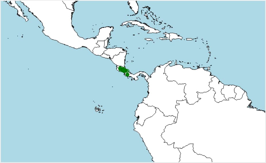 Distribución, donde vive la rana arborícola de flancos azules, Agalychnis annae