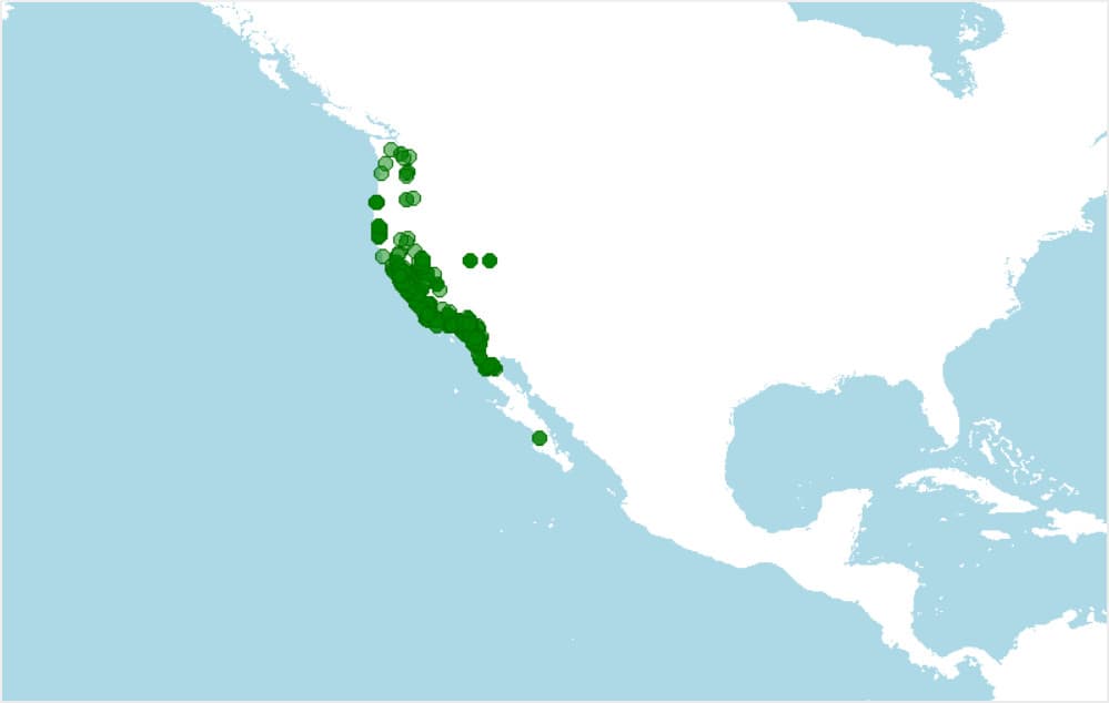 Distribución de la Rana draytonii, Rana de patas rojas californiana