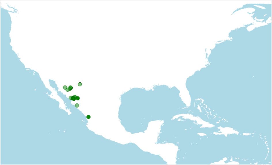 Distribución, dónde vive la tortuga de caja manchada, Terrapene nelsoni