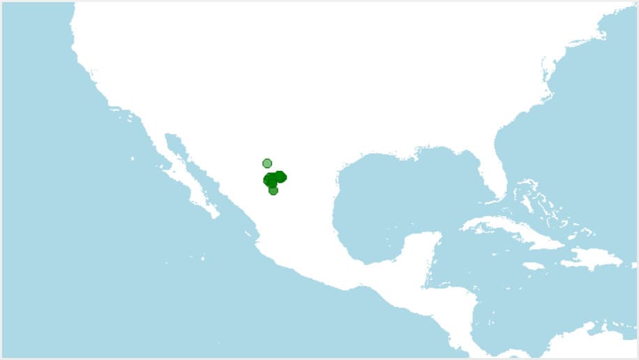 Dónde vive, distribución de tortuga del Bolsón, Gopherus flavomarginatus