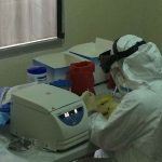 laboratorio-ebola