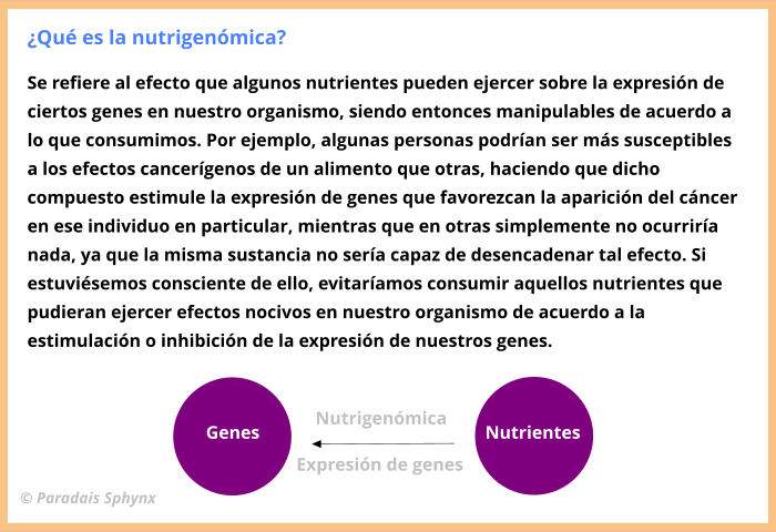 Nutrigenómica