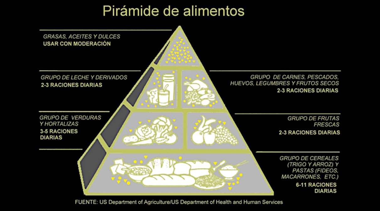 Pirámide nutricional en humanos