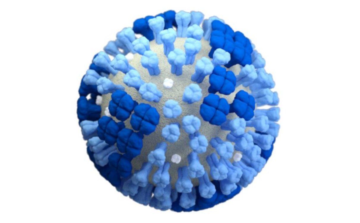 El yaravirus: desconcertante virus que sacude a la ciencia desde Brasil