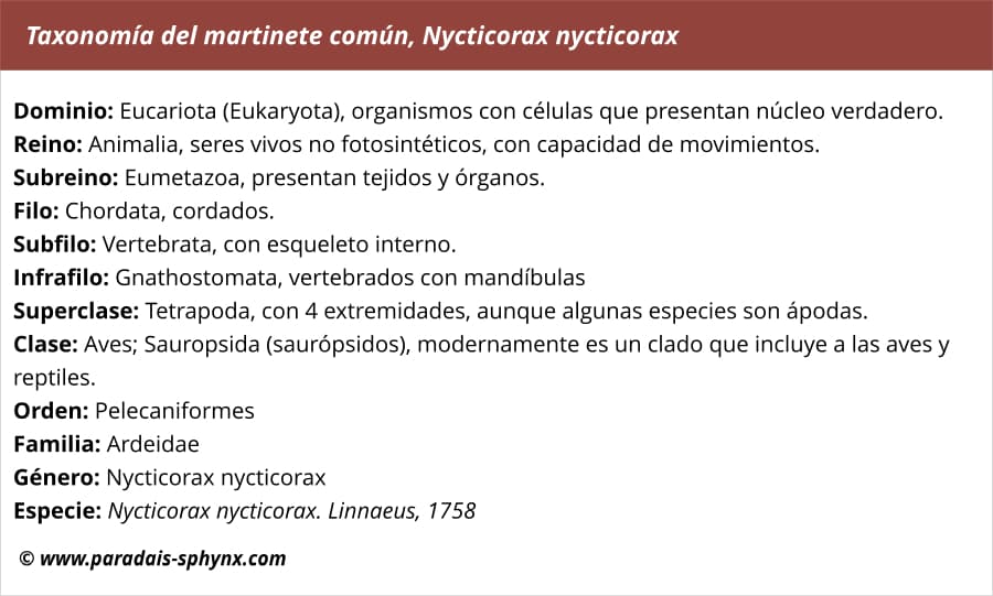 Taxonomía del martinete común, Nycticorax nycticorax