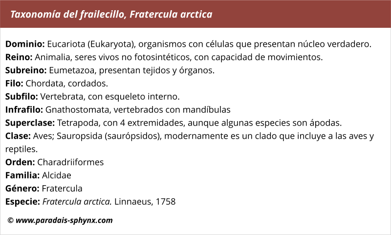 Taxonomía del frailecillo, Fratercula arctica