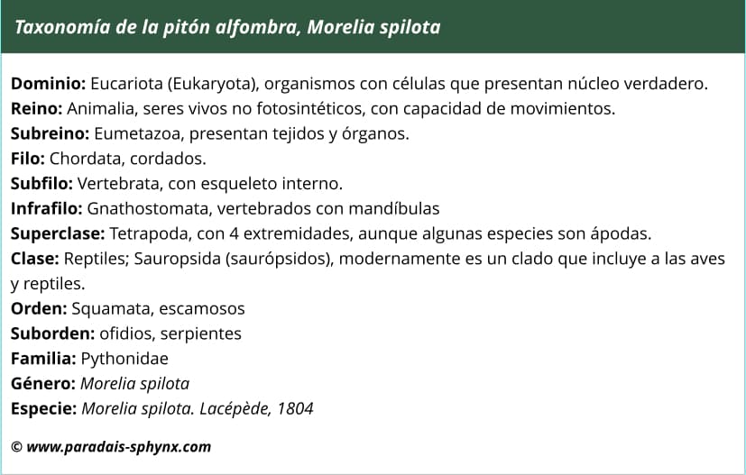 Taxonomía, clasificación científica de la pitón alfombra, Morelia spilota