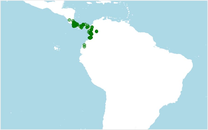 Distribución de Allobates talamancae
