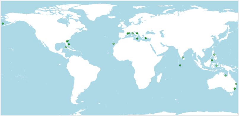 Distribución, dónde vive Spongia officinalis, esponja de baño