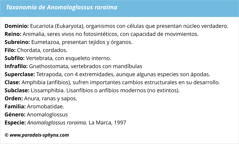 Taxonomía de Anomaloglossus roraima
