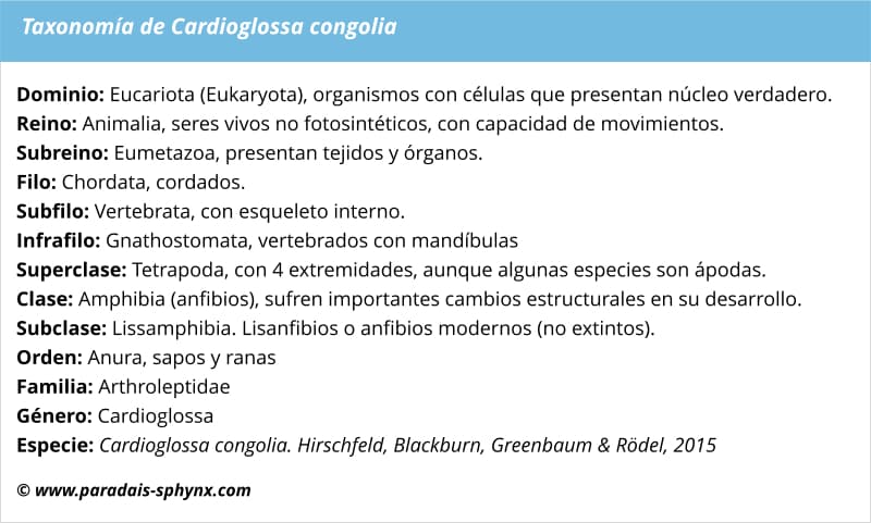 Taxonomía de Cardioglossa congolia, rana congoliana de dedos largos