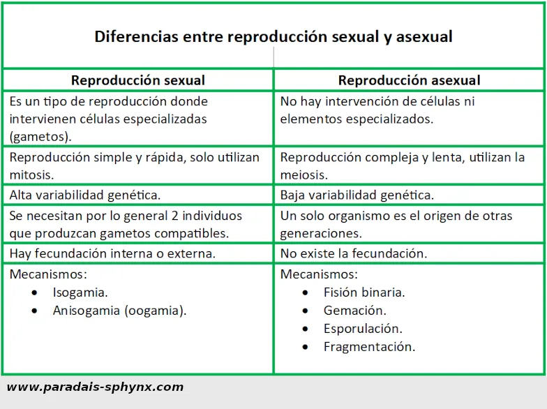 Diferencias entre reproducción sexual y asexual