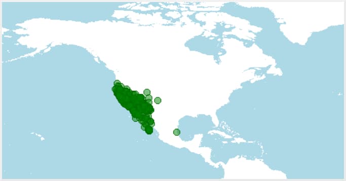 Distribución geográfica de culebra californiana, Lampropeltis californiae