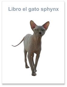 Libro el gato sphynx, esfinge