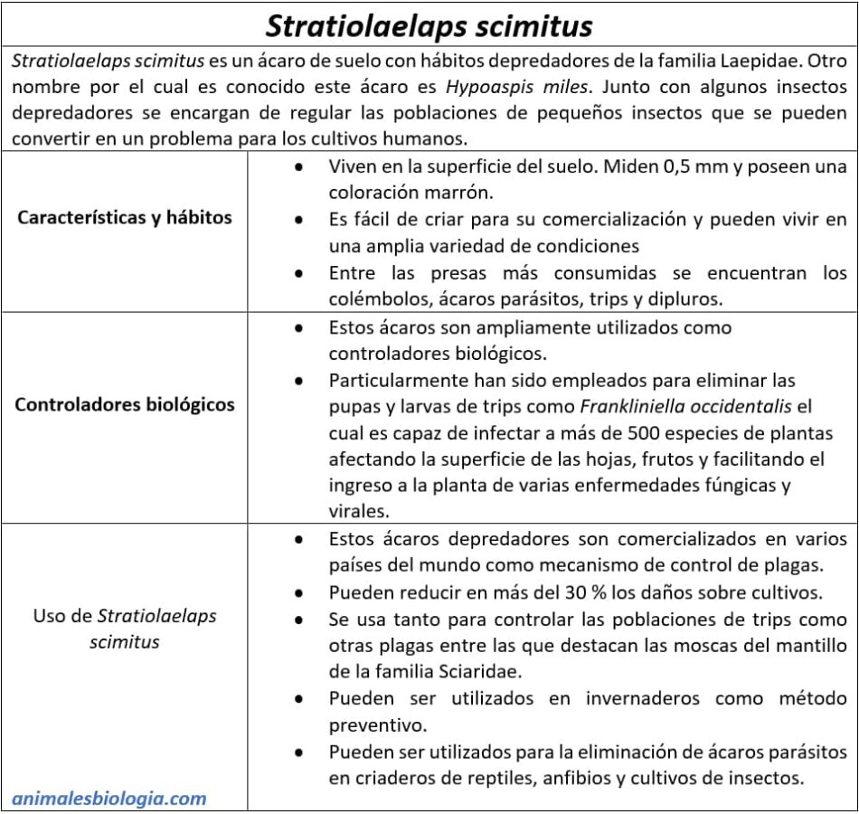 Descripción y usos de Stratiolaelaps scimitus (Hypoaspis miles)