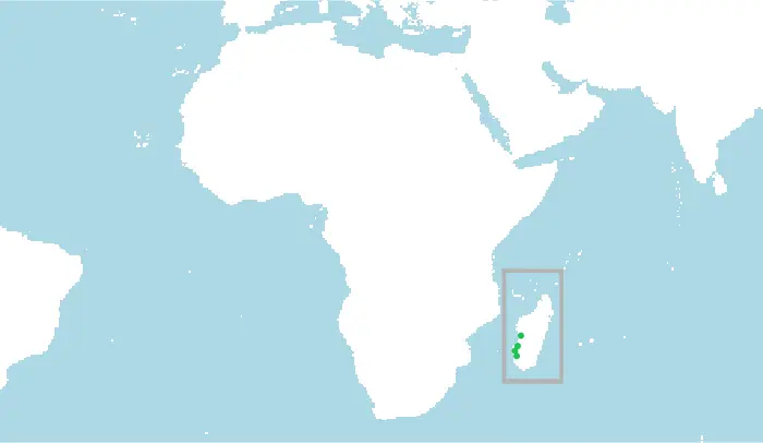 Distribución geográfica de la mangosta de rayas, Mungotictis decemlineata .