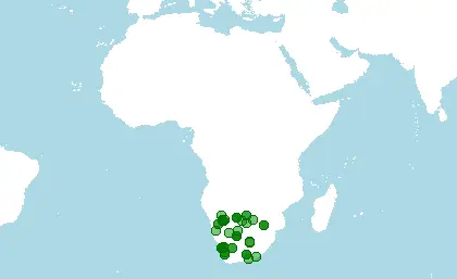 Distribución de los suricatas, Suricata suricatta