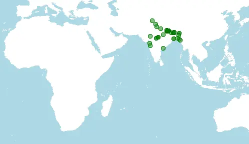 Mapa distribución puntius conchonius